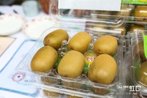 助力脫貧攻堅，品味地道風物——魯迅公園特色農產品直銷活動正式啟動