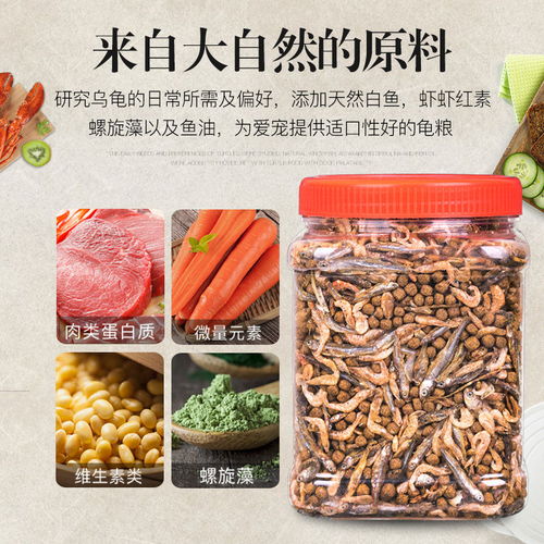 全面解讀龜類初級農產品飼料 從龜糧蝦干到無鹽魚干的營養選擇