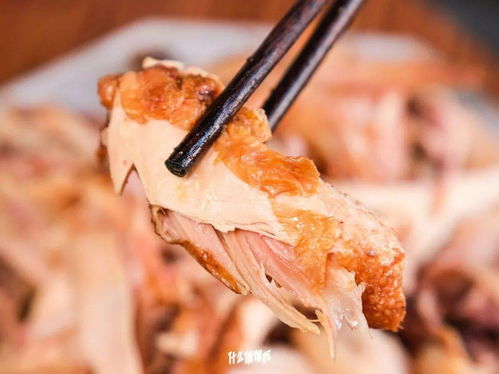 美食圈的隱藏BOSS 農業大學實驗室與初級農產品的奇妙碰撞