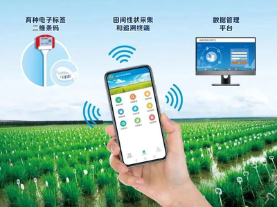 北京市農(nóng)林科學院信息技術研究中心 引領智慧農(nóng)業(yè)的網(wǎng)絡技術服務先鋒
